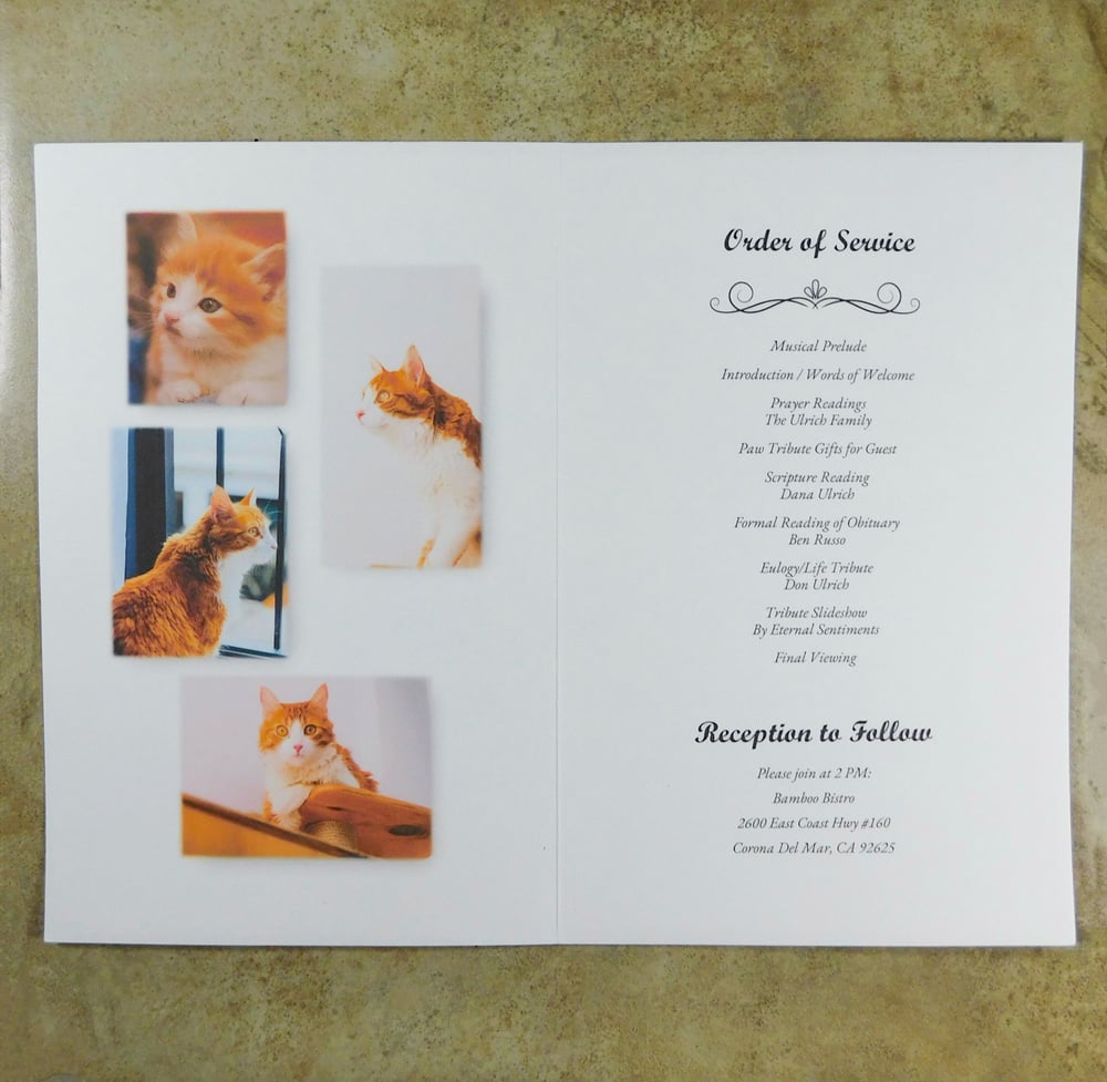 Paw Program - Bifold