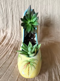 Image 2 of Lipstick Echeveria/Black Prince in Palm High Heel