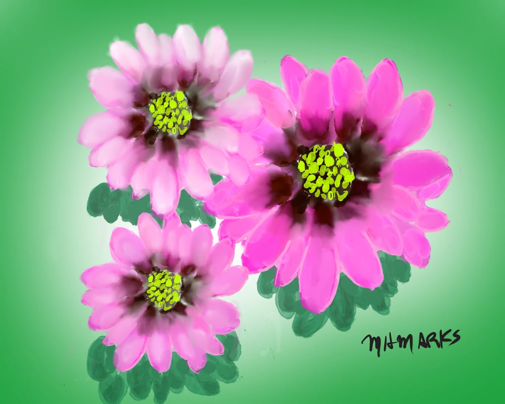 Image of Pink flowers 