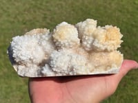 Image 7 of Calcite Crystal Reef Formation Specimen #1242