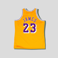 Image 3 of 🆕 W.L. 🪓 LeBron James Alt ☠️ JeRSeY 🎽