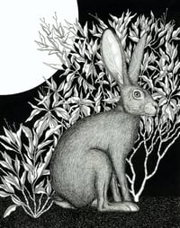“Rabbit Knows the Ground” print by Maria Renée Johnson