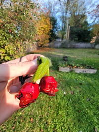 Image 5 of Cadmium Red Skull Cherries