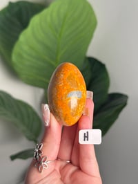 Image 8 of HIGH QUALITY BUMBLE BEE JASPER SHIVAS -INDONESIA-