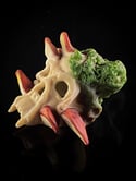 Skull with Reshi