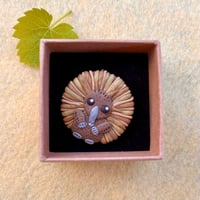 Echidna Brooch