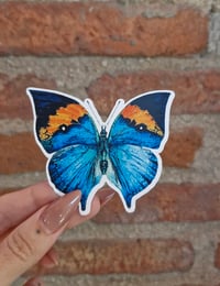 Image 1 of Oak Leaf Butterfly sticker