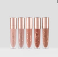 VELVET STAY LIP PAINT SET all about nudes 
