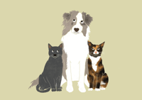 Custom Digital Three Pet Portrait