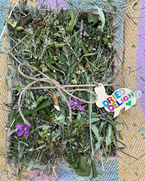 Image of Recycled deep tray filled with mixed dried forage *limited stock!*