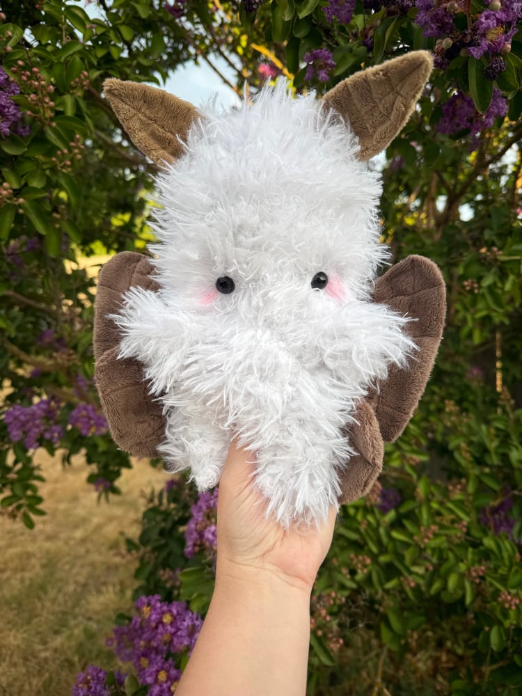 Image of fluffy moth