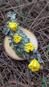 Image 1 of Jelly Fungus sculpture