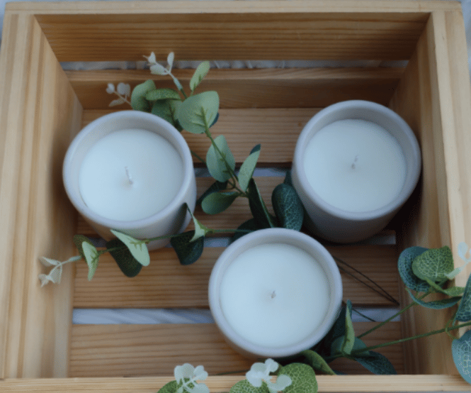 Image of Coconut Soy Candle 7.5 oz