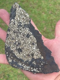 Image 6 of Shungite With Cubic Pyrite Double Sided Specimen #601