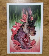 Image 1 of A5 Fungi Hare Giclée print 