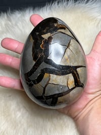 Image 9 of Septarian Egg With Calcite #2396
