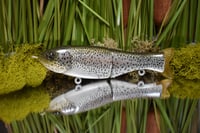 Finesse Shat - Rainbow 🌈