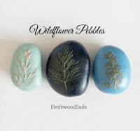 Image 1 of Wildflower Pebbles 