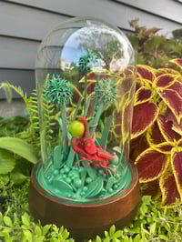 Image 1 of Red Thread Beetle