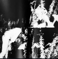 Image 8 of Kohei Yoshiyuki - Secret Infrared Photography 