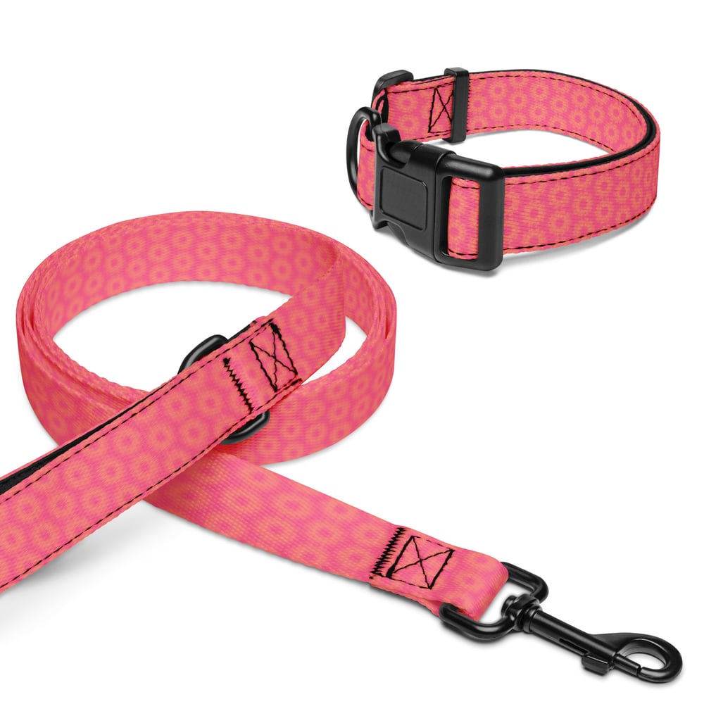 ZEN EXP - Pet collar & leash