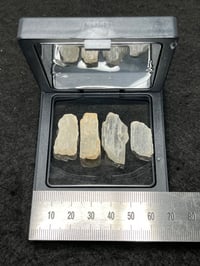 Image 4 of Moonstone Gemstone Specimens From #2525
