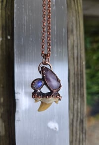 Image 2 of Electroformed shark tooth necklace 01