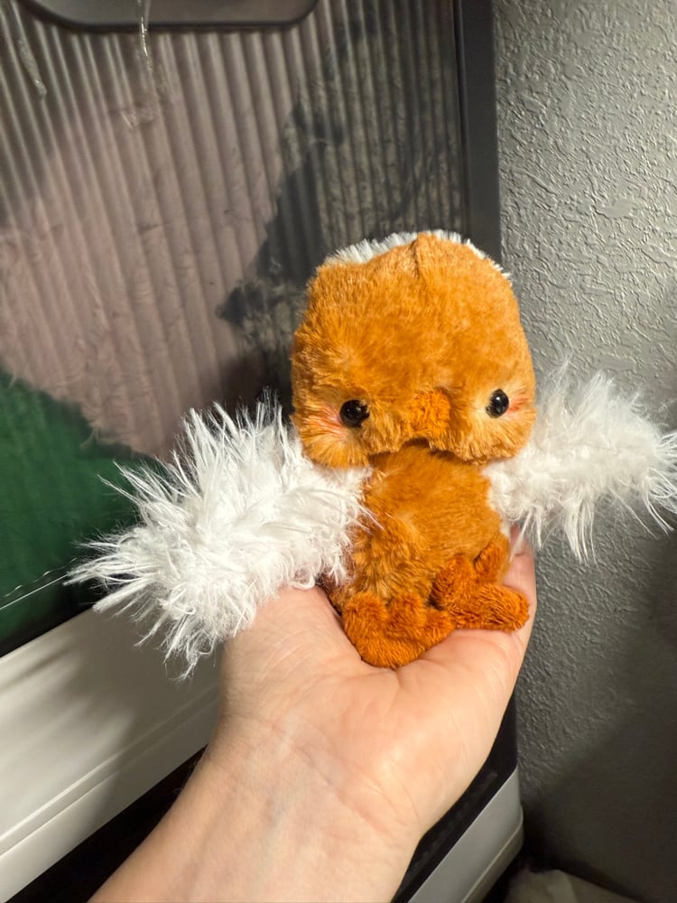 Image of red floofy chicken