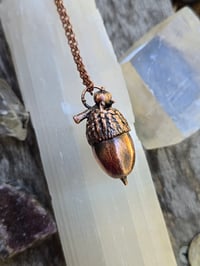 Image 1 of Electroformed Swamp Chestnut Oak acorn necklace 02