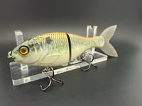 Image 1 of 6” Trick Shad Custom Paint