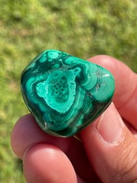 Image 10 of Malachite Polished #1829