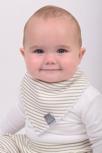 Image 1 of Dribble Bibs