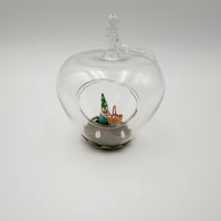 Image 3 of Gnome terrariums
