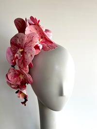 Image 1 of Pink orchids #2