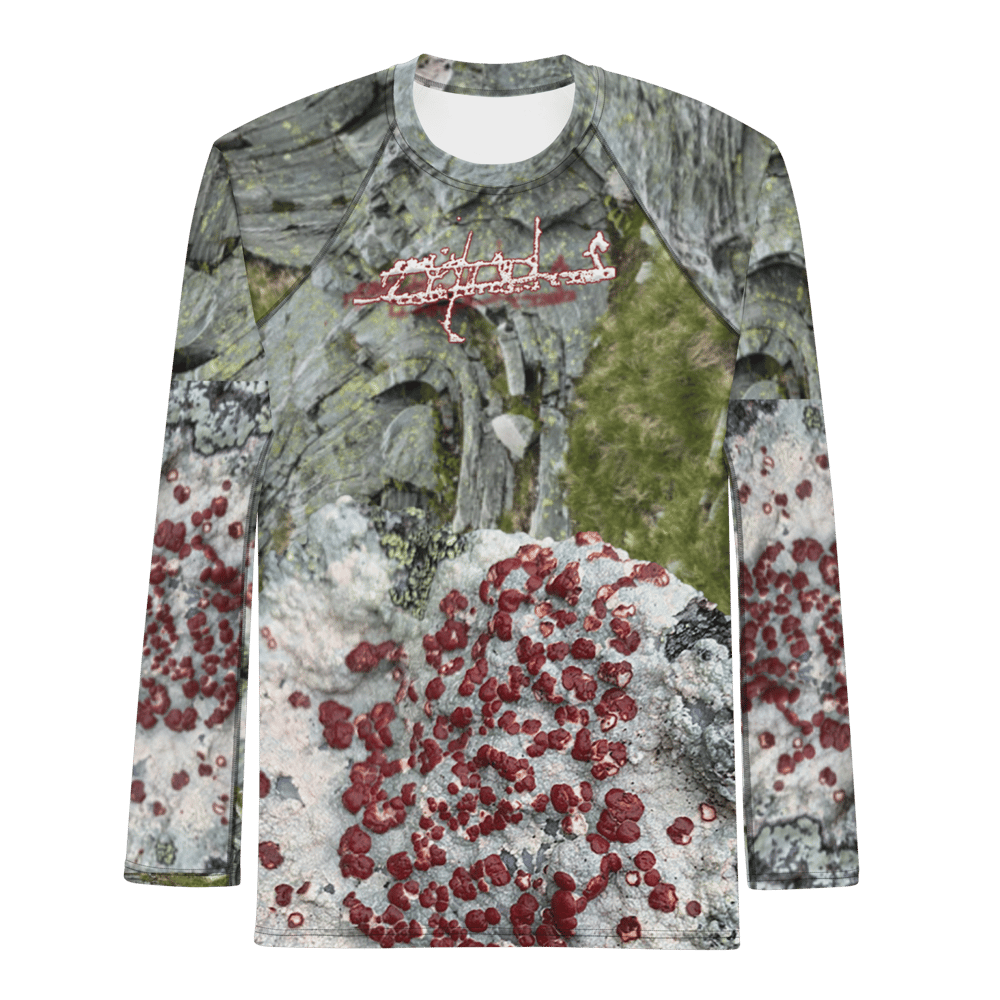 Image of New Lichen 