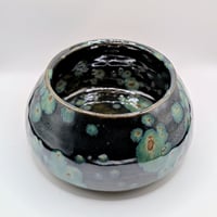 Image 2 of Succulent Pot with Plant