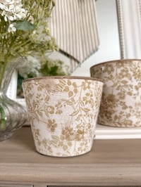 Image 2 of The Edith Collection - Pots