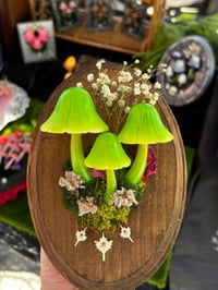 Image 3 of Mushroom wooden frame LED
