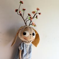 Image 1 of Cherry