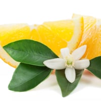 Image 3 of Orange Blossom Mandarin Perfume 