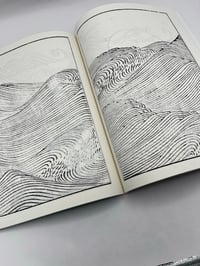 Image 2 of WAVES