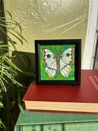 Image 1 of Framed Mini Art: Winged Creature 7