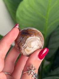 Image 6 of MEXICAN LACE AGATE SPHERE D