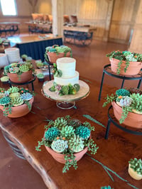 Image 1 of Weddings/Events