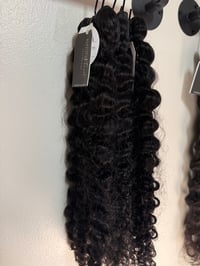 Image 5 of Raw Vietnamese Burmeese Curly 