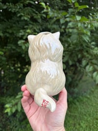 Image 5 of Medium Kitties 