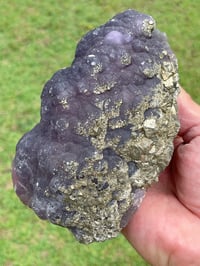 Image 1 of Purple Botryoidal Fluorite With Cubic Pyrite Specimen #447 