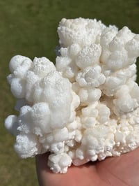 Image 3 of White Calcite Crystal Reef Formation Specimen #1237