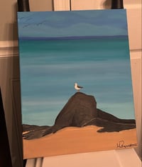 Gull on a Rock