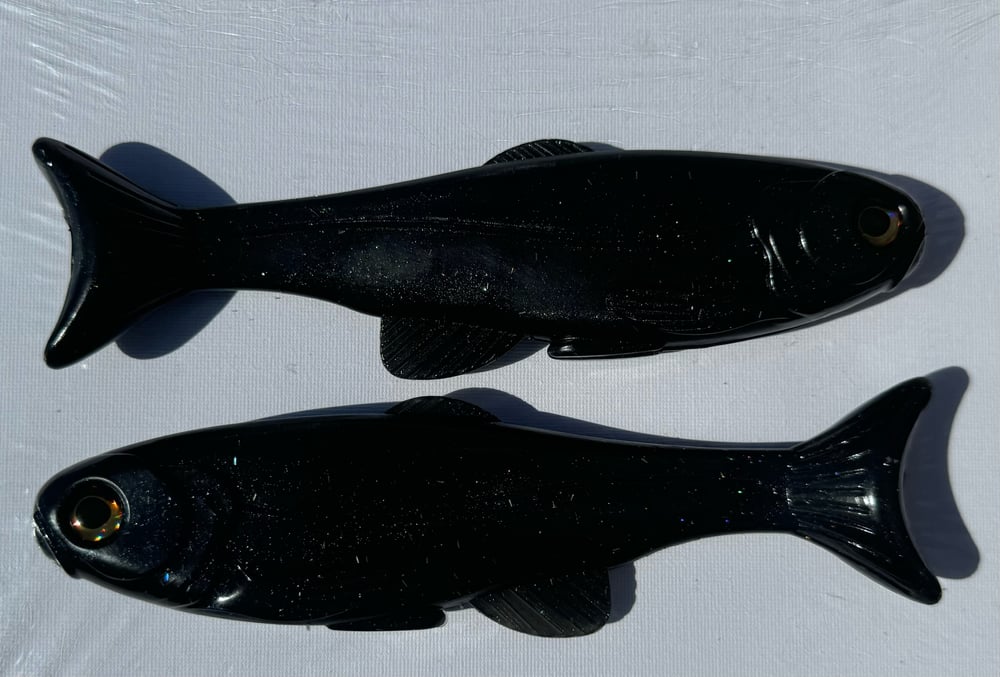 Roma Trout - OBSIDIAN - Image 5